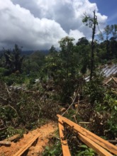 Encroachment of Lubuk Raya forest