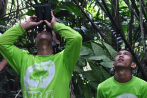 SRI staff monitoring wild orangutans