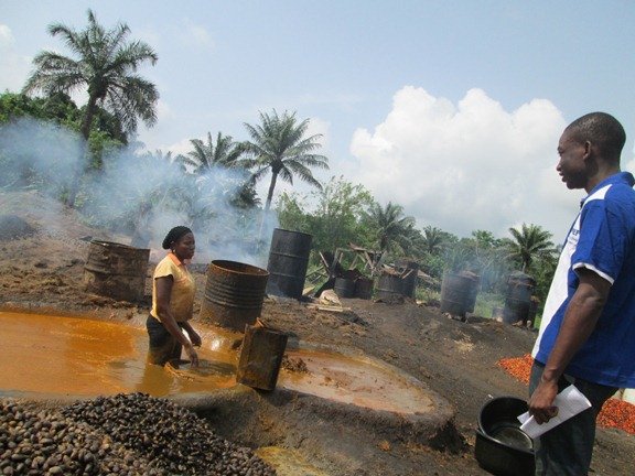 Income Generation Activities for Rural Nigerians