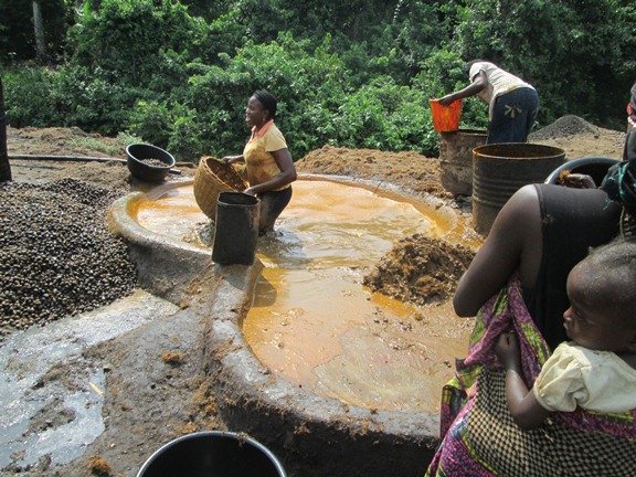 Income Generation Activities for Rural Nigerians