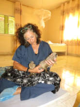 Dr. Laurie Marker giving care to cheetah cubs