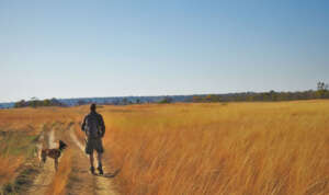 CCF Scat Dog and CCF Staff