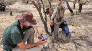 Bogdan Cristescu & CCF Staff Checking Camera Traps