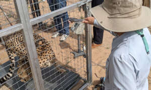 CCF Somaliland Keeper