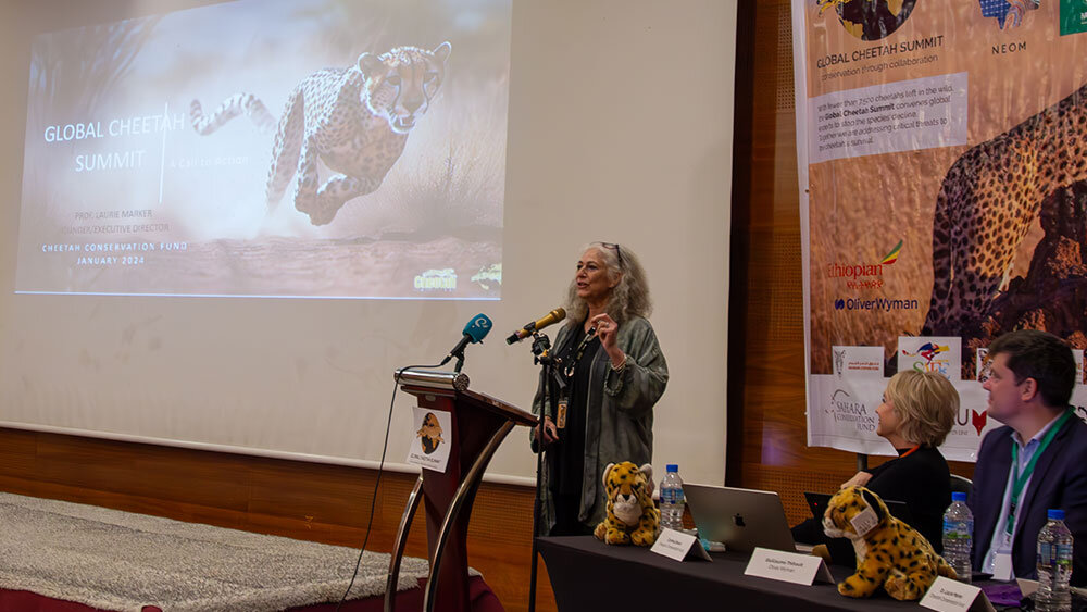 Dr. Laurie Marker at Global Cheetah Summit