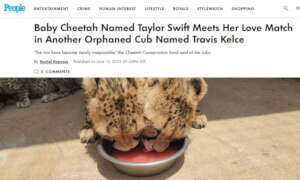 Photo of People Article