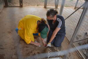 Ashley and Nathalie at work