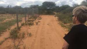 Cheetah Release - Kamin, Cyclone, Elwood and Zin