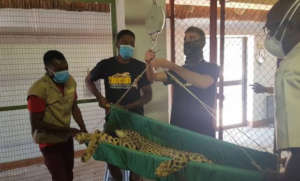 CCF Staff assist in medical check