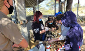 Daenarys in her workup