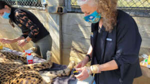 Dr. Marker leading the workup on Daenarys