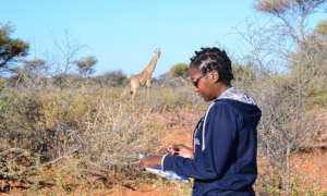 Elizabeth Pius Giraffe Study