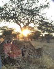 All four together on a cold morning