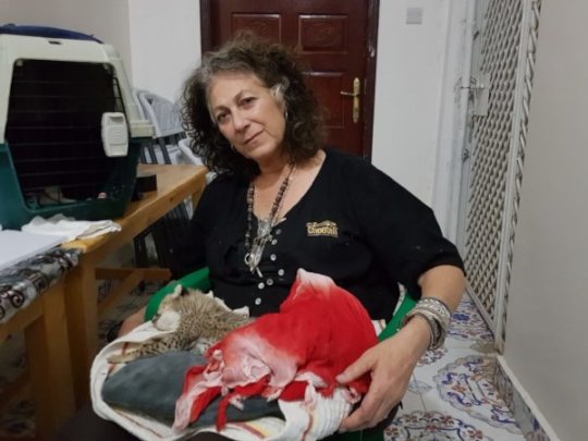 Dr. Laurie Maker Holding Weak Cub in Somaliland