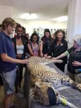 Cyclone Getting his Checkup