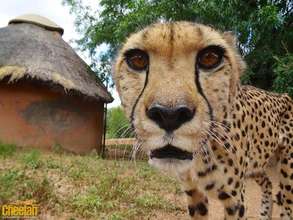 Romeo Has Been Settling in Nicely at CCF