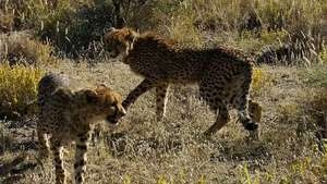 Zinzi and Deborah upon release