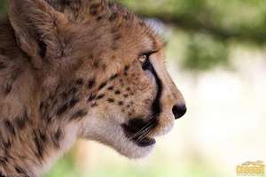 B2 is Now One Year Old!