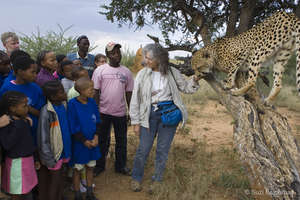 Cheetah education classes