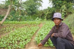 Hong Chak and his vegetable garden