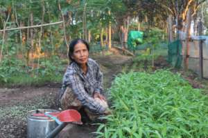 Kunthy is taking care her vegetable farm