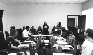 Public policy presentation to local city council