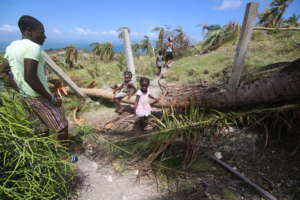 Over 61,000 people are in evacuation shelters