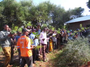 Biogas beneficiaries are also given trees