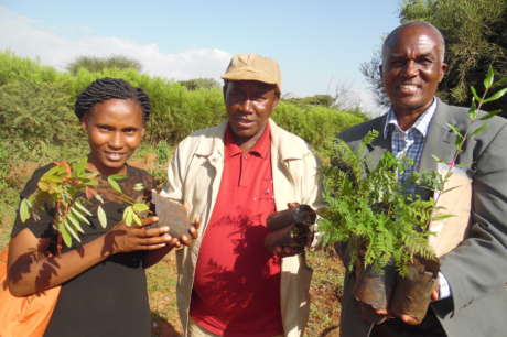 Build a Biogas system for a family in Tanzania
