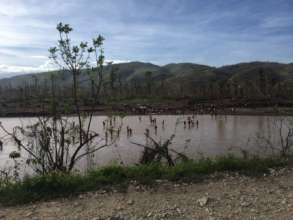 People wading across river after bridge collapse