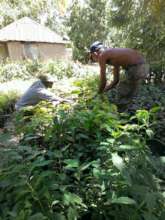 production