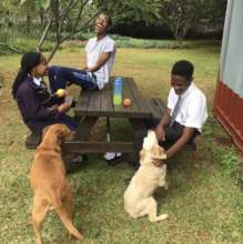 Students spending time with eachother and the dogs