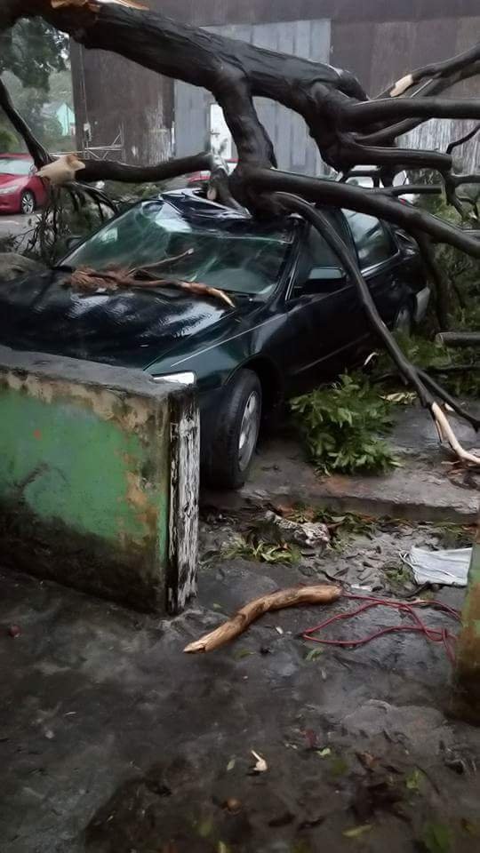 Bahamas Hurricane Relief Fund