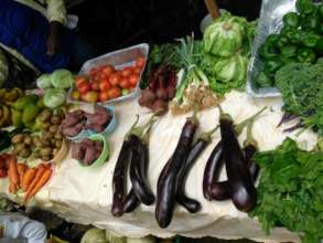 Organic produce from Wynne Farm