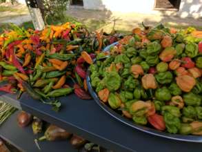 Local food from Haiti