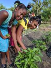 Saturday Morning Garden Club