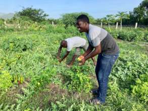 Agro Raphael & program leaders harvest the garden