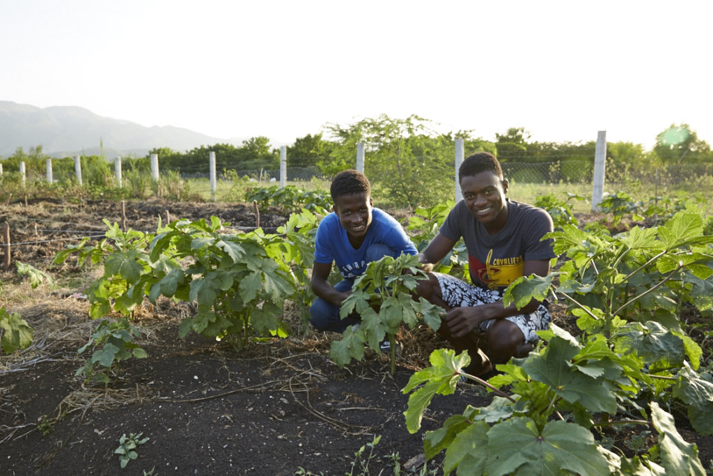 Healthy Farms, Healthy Children - Growing in Haiti