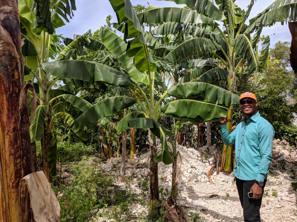 Healthy Farms, Healthy Children - Growing in Haiti
