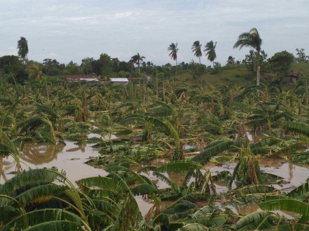 Hurricane Matthew Relief in Haiti
