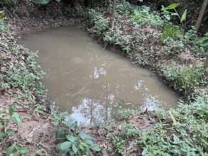 Fish Farm