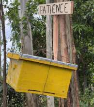 Beekeeping