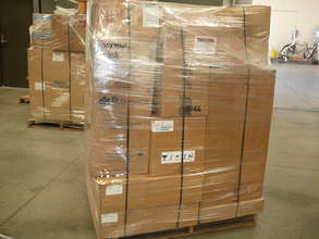 Received by the Rotary Club of Ramallah