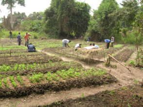 Help Farmers Fight Hunger & Child Abuse - Liberia