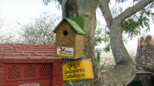 Eco-Friendly Nest for Innocent Sparrow !!