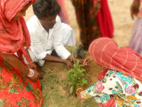 Planting A Tree! Save the Earth !!