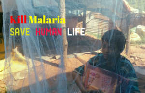 Give mosquito Net Protect Life from Malaria