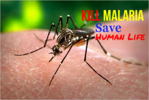 Provide Mosquito Net for Protect Life from Malaria