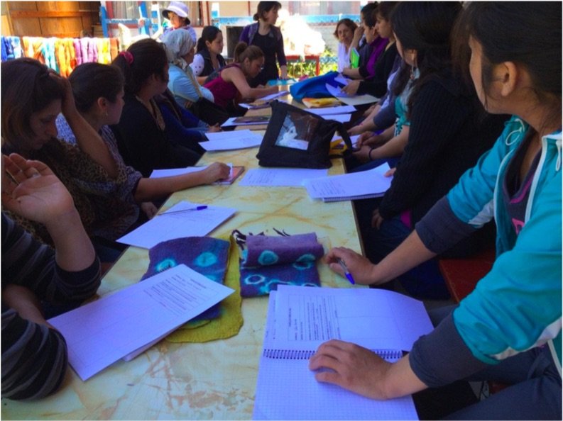 Weaving & Empowerment Workshops for Mapuche Women