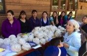 Weaving & Empowerment Workshops for Mapuche Women